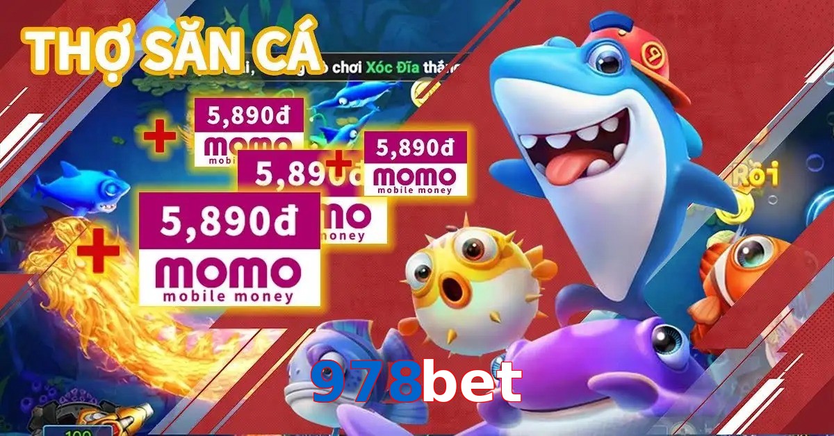 978bet
